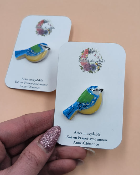 Mésange bleue 🐦